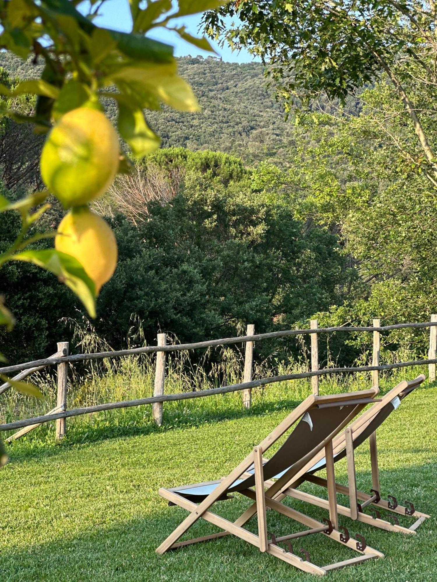Gio Toscana Castiglione della Pescaia Extérieur photo